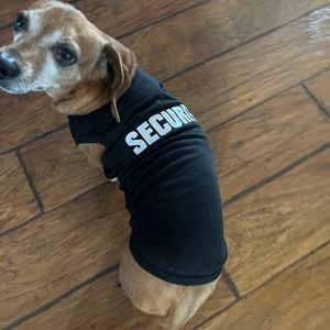 Meet your Posher, Jennie